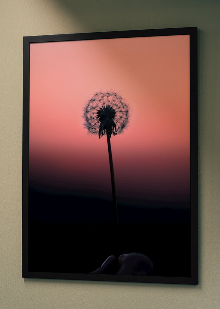 Löwenzahnball - Abbildung 1