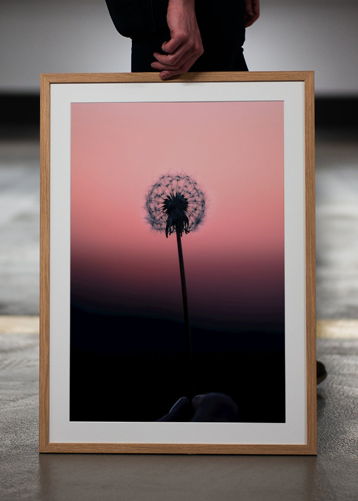 Löwenzahnball - Abbildung 1