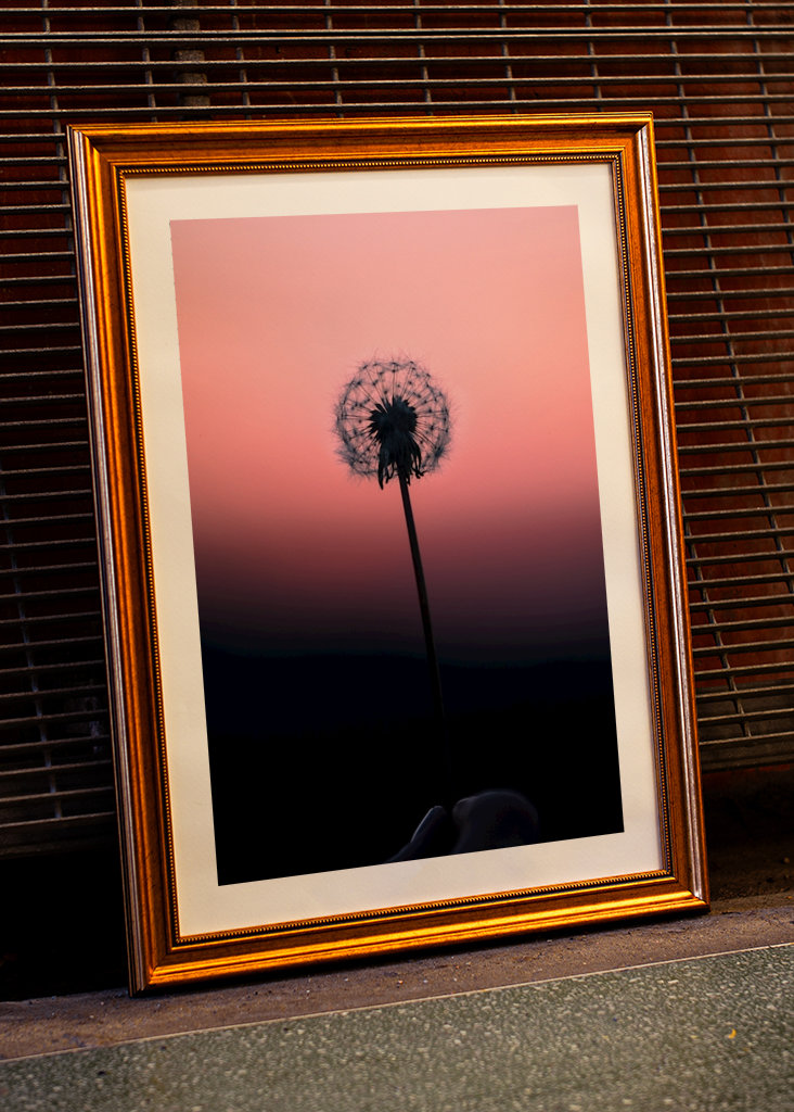 Löwenzahnball - Abbildung 1