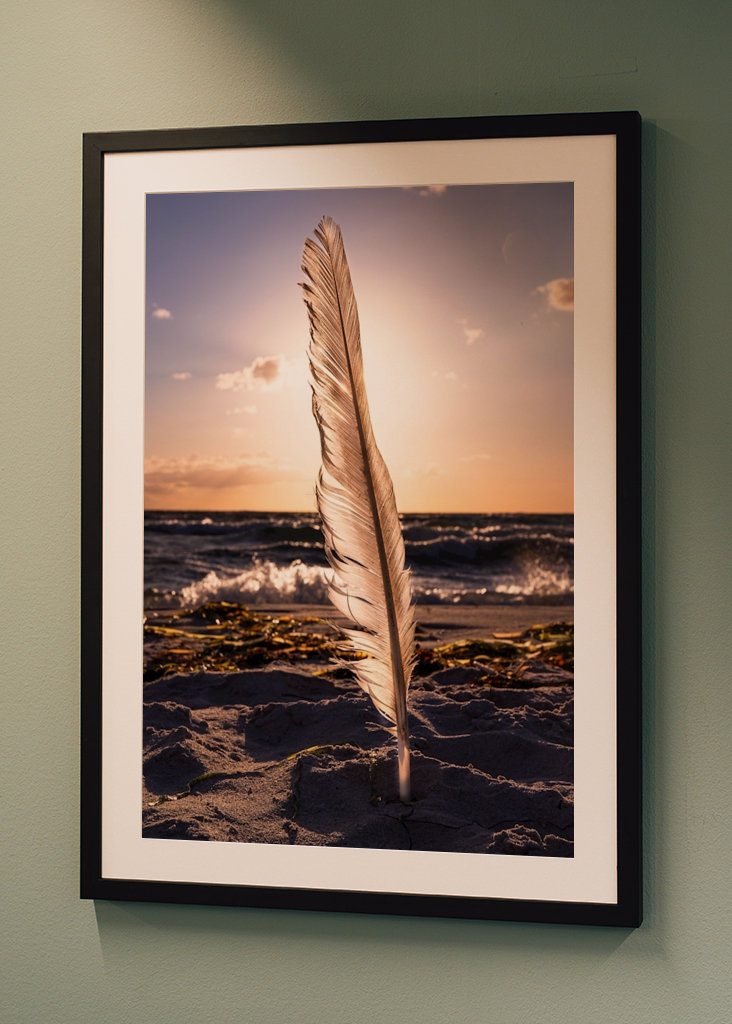 Fjäder på Stranden