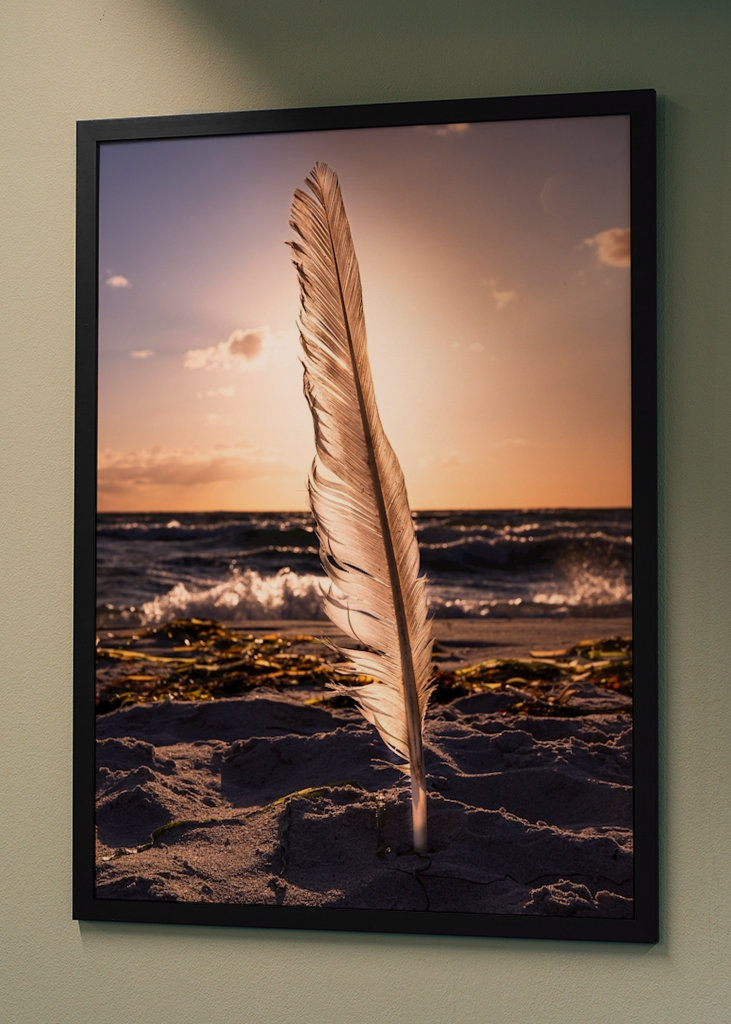 Fjäder på Stranden