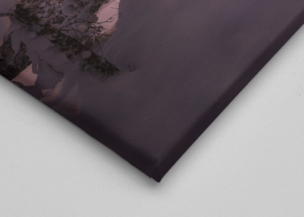 Poslední paprsky dne