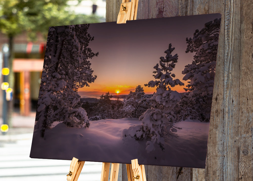 Poslední paprsky dne