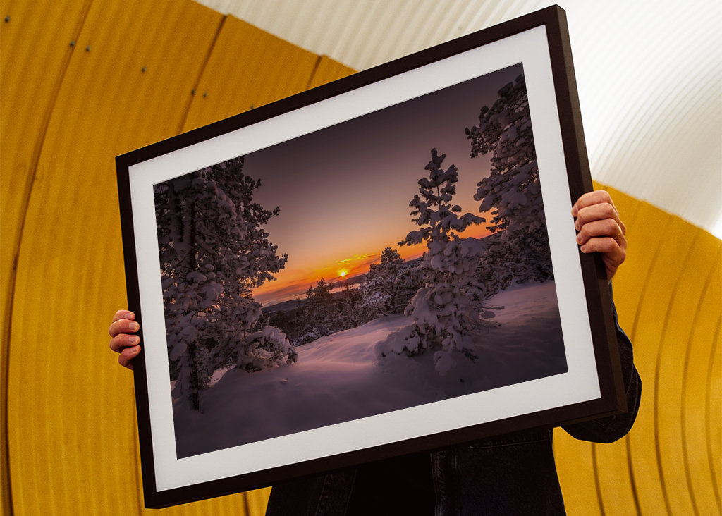 Poslední paprsky dne