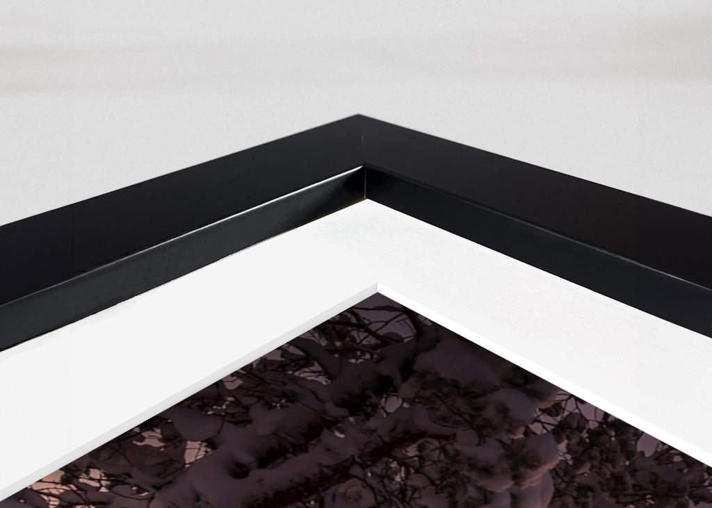 Poslední paprsky dne