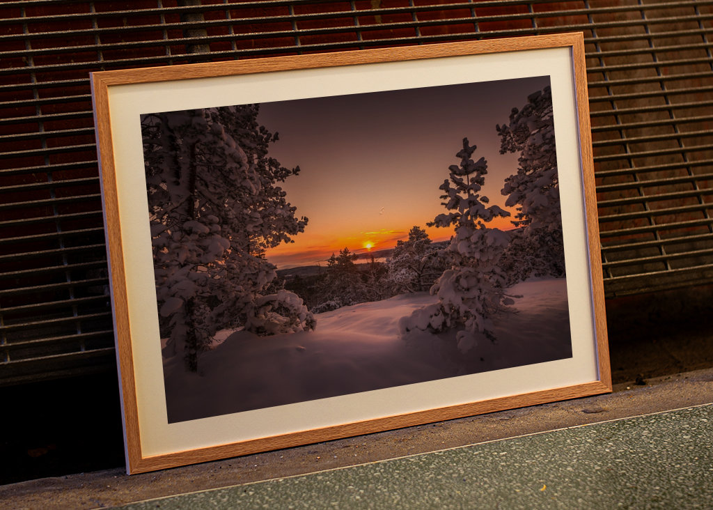 Poslední paprsky dne