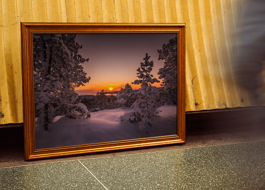 Poslední paprsky dne