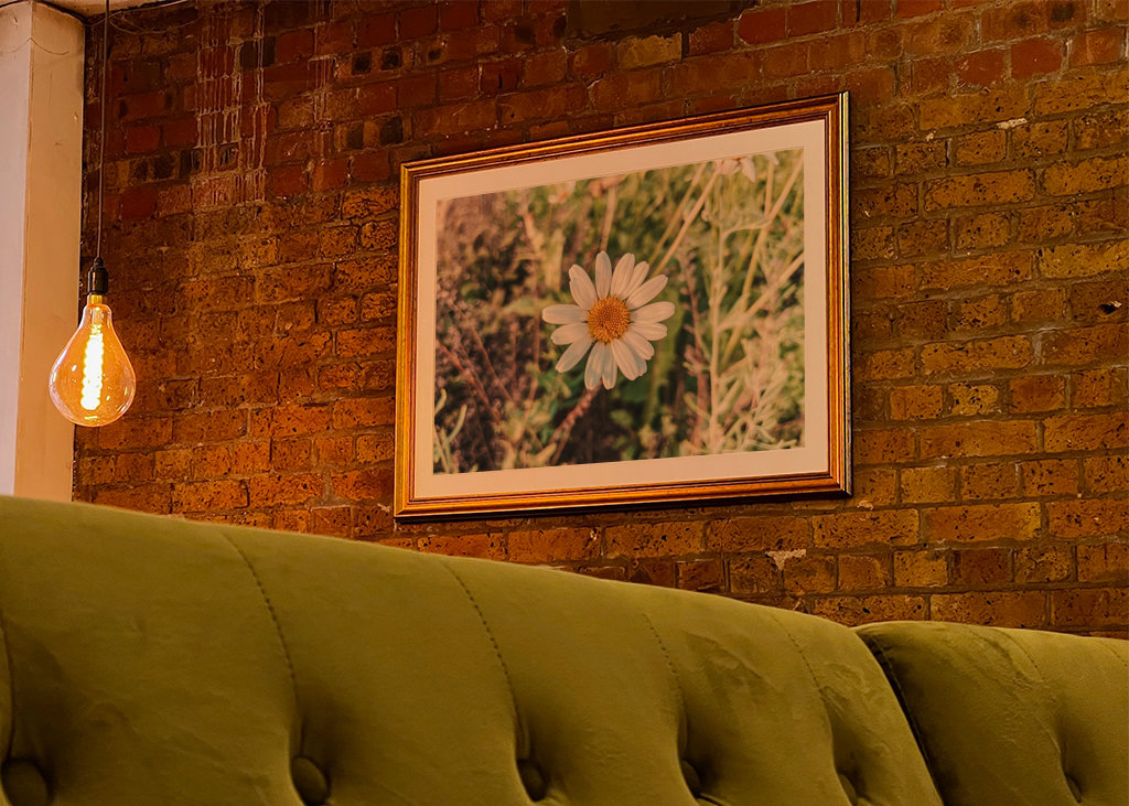 Bílá krásná květina