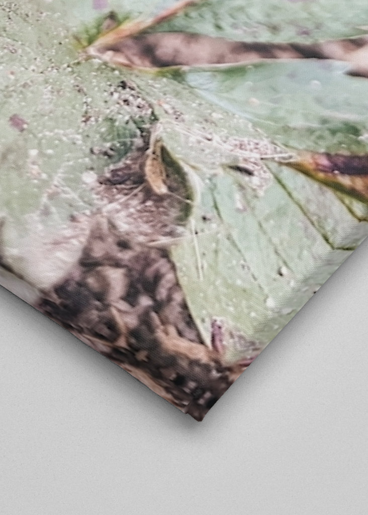 Süße schwedische Erdbeere