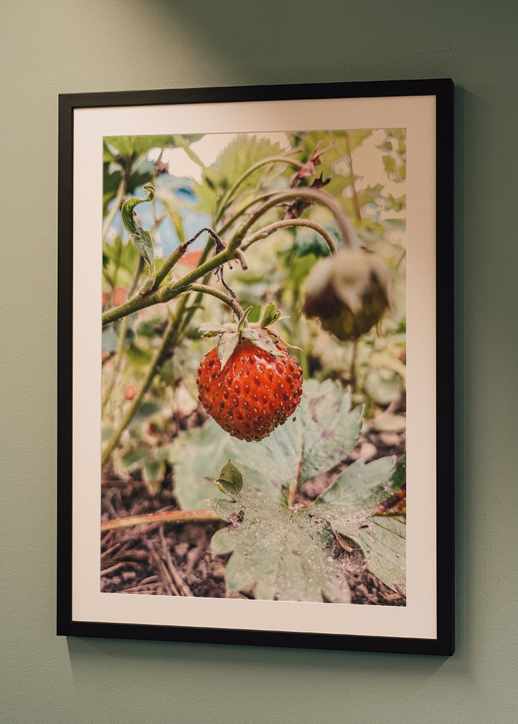 Süße schwedische Erdbeere