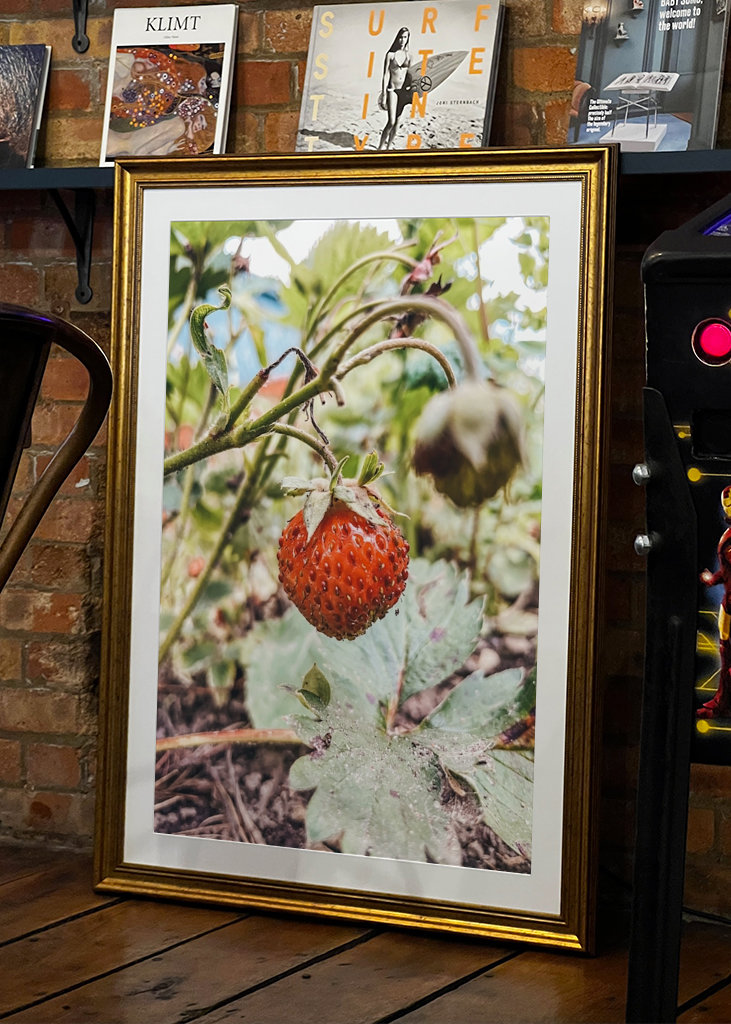 Süße schwedische Erdbeere