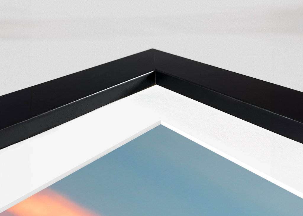 Labuť při západu slunce