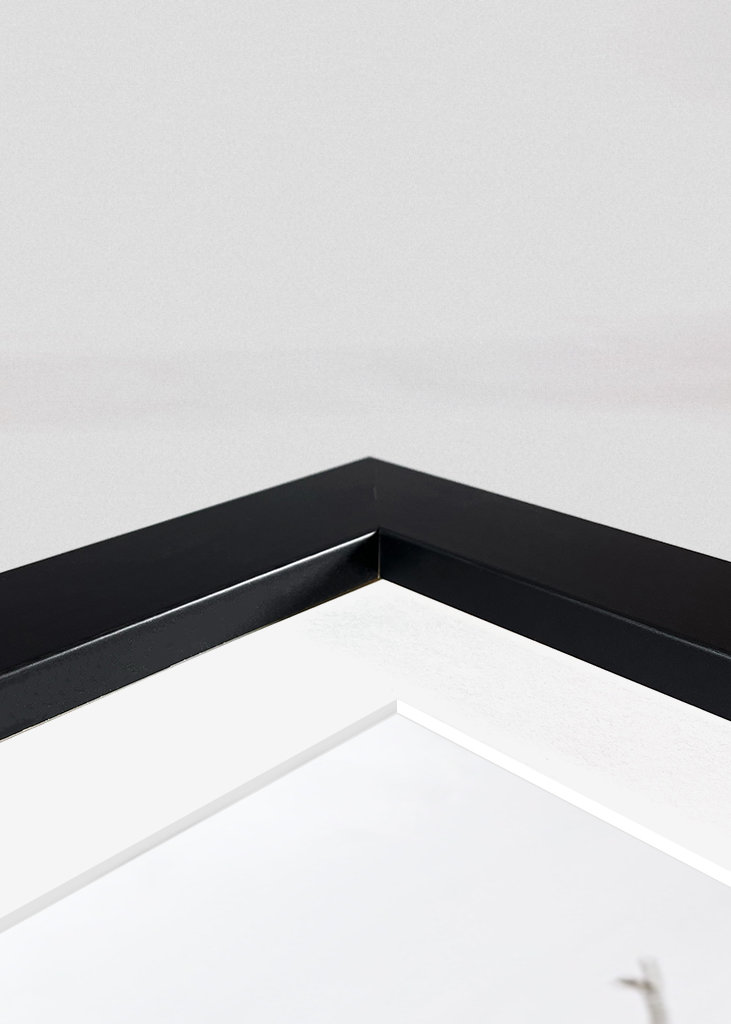 Rensdyr i sneen i Norge