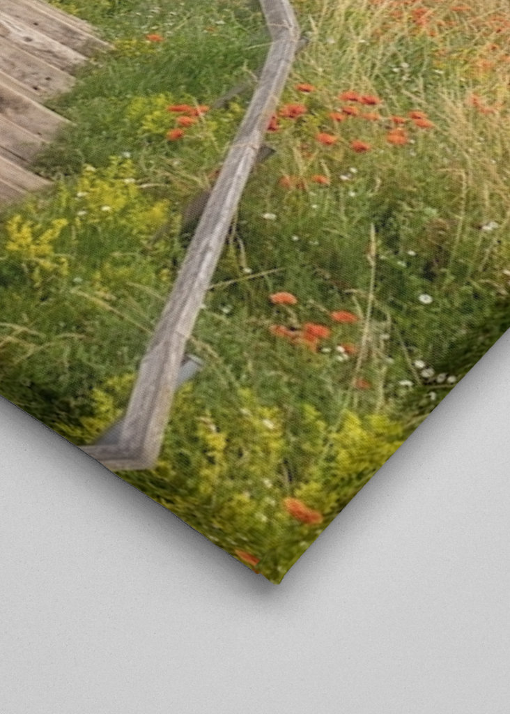 Sommar på Österlen