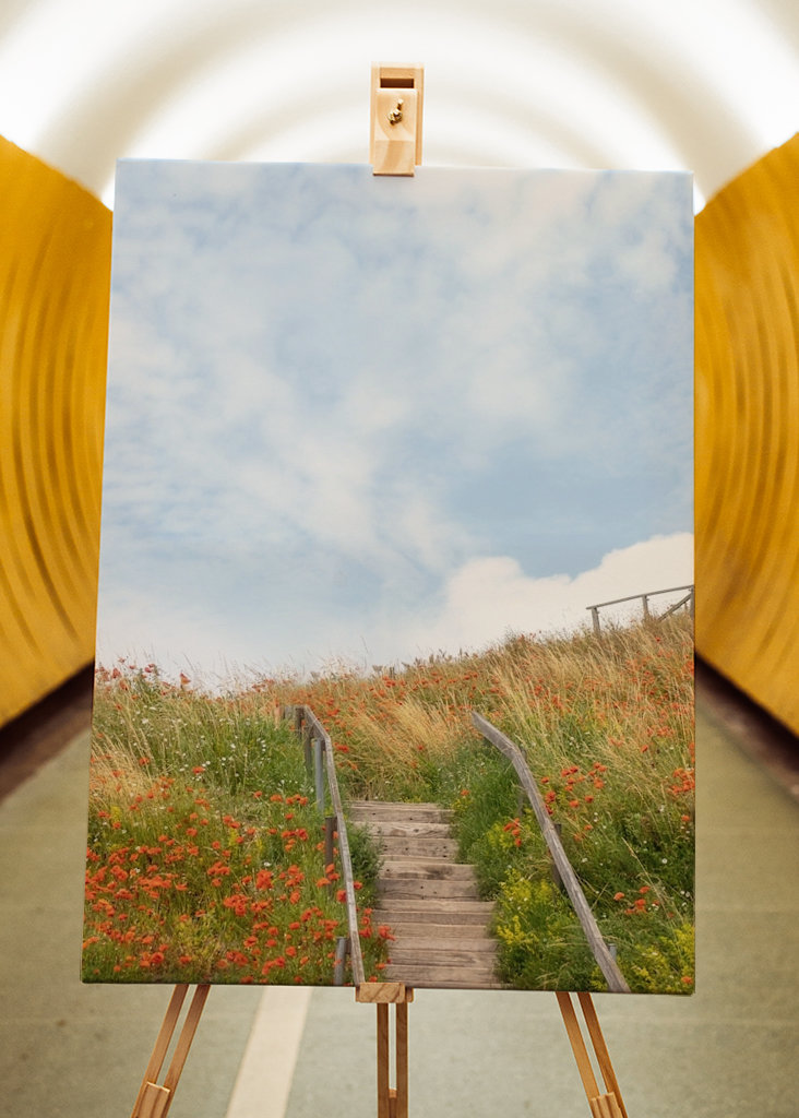 Sommar på Österlen