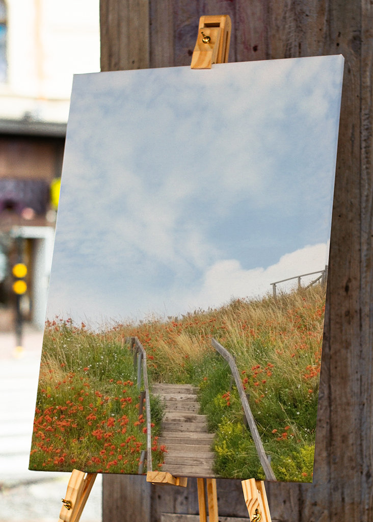 Sommar på Österlen