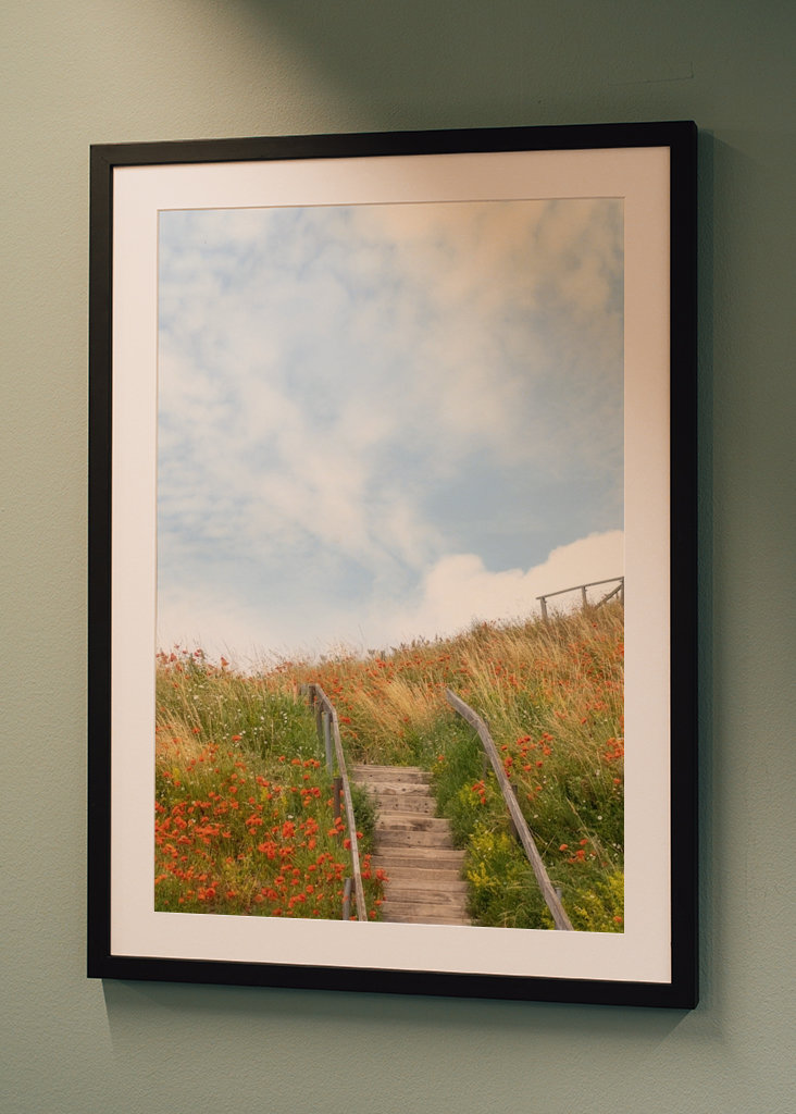 Sommar på Österlen