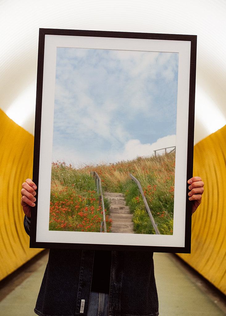 Sommar på Österlen