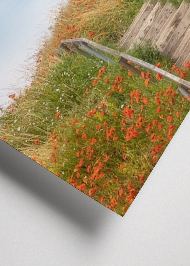 Sommar på Österlen