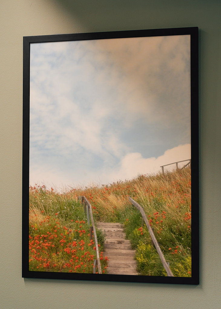 Sommar på Österlen