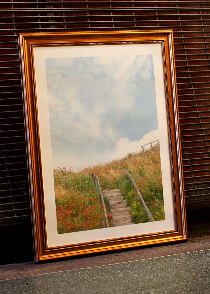 Sommar på Österlen