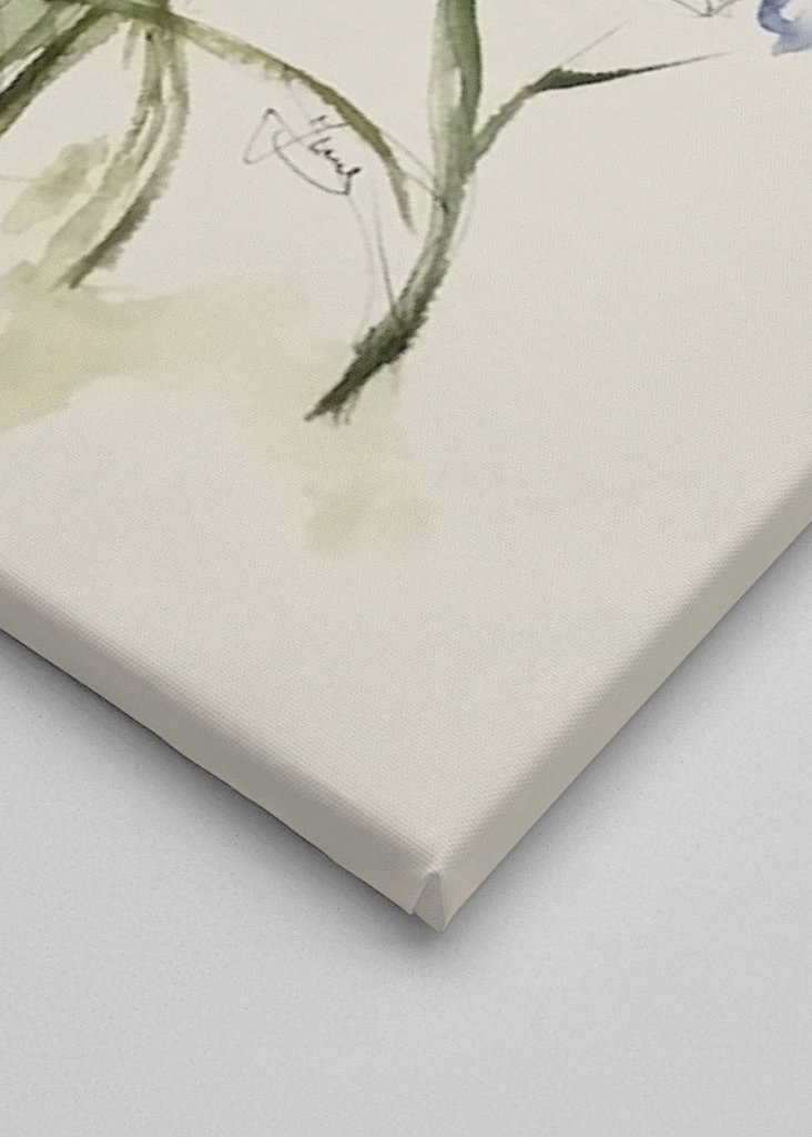 Den svenske sommereng