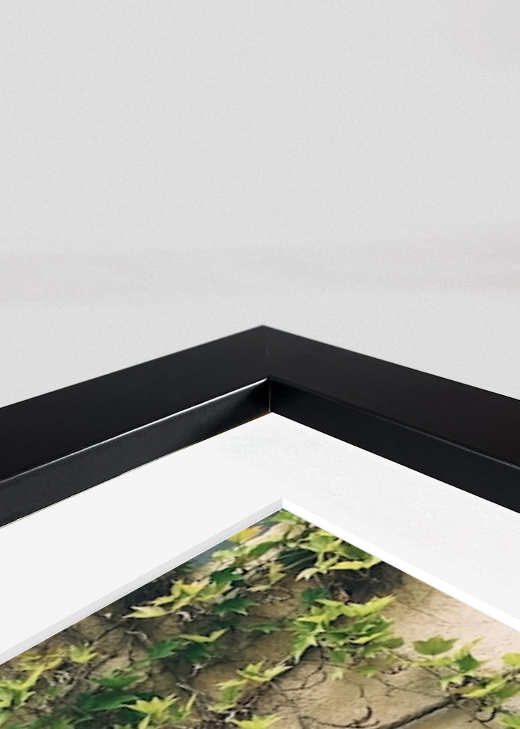 The Blue door in Provence