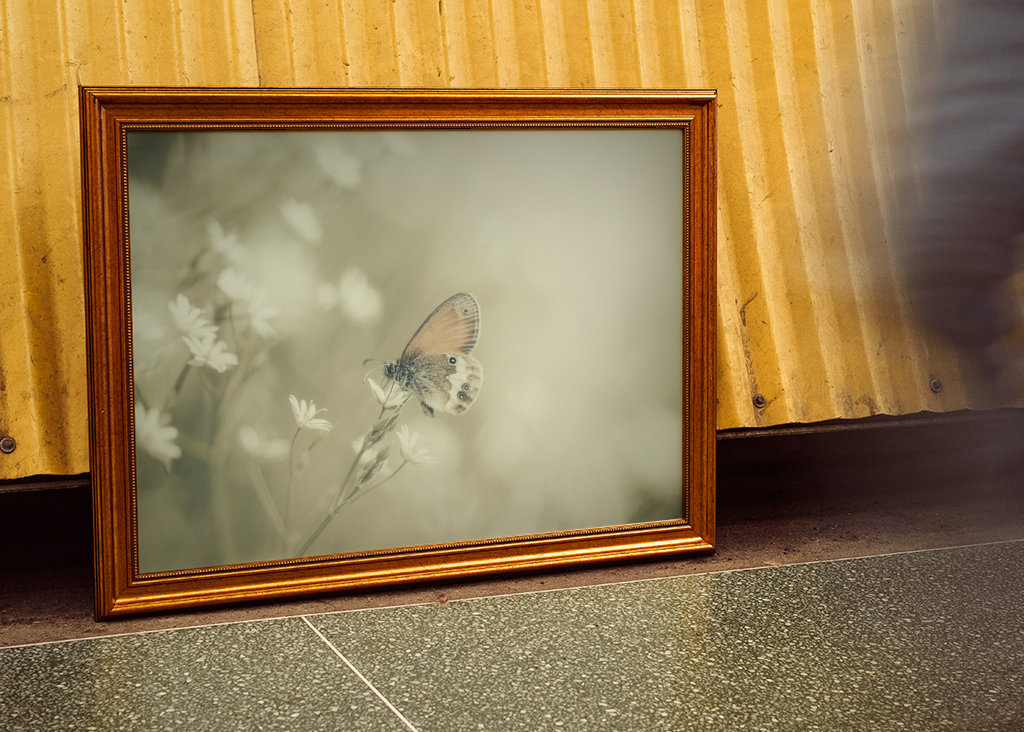 Schmetterling in Blumenwiese