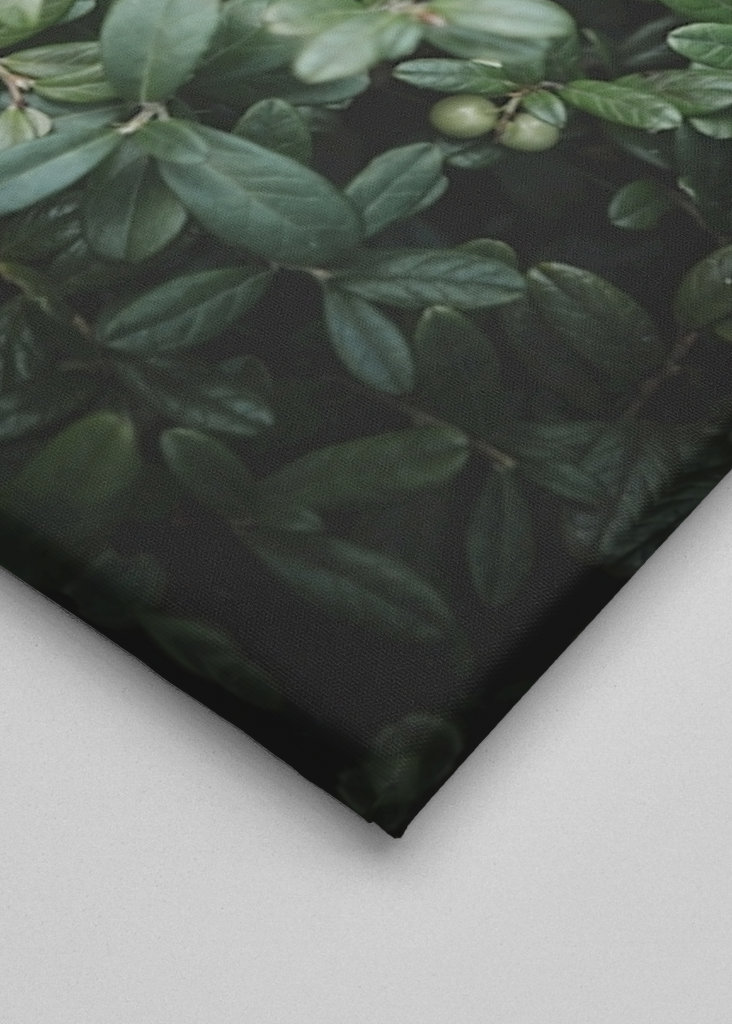 Kåsa s lesním ovocem