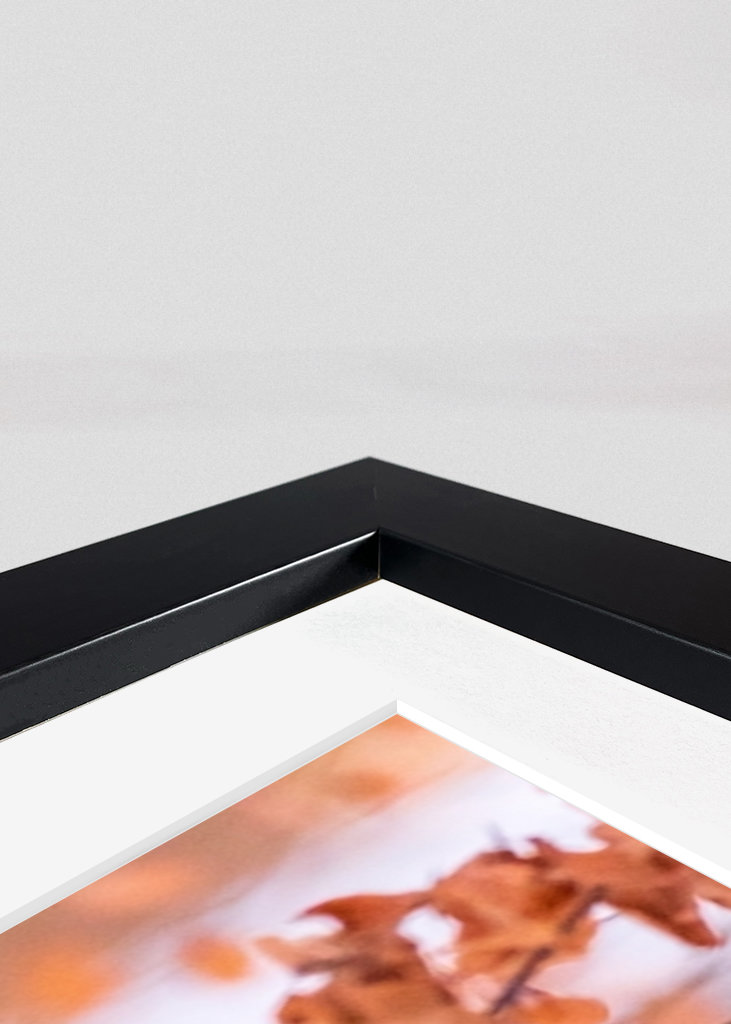 De vos van de winter