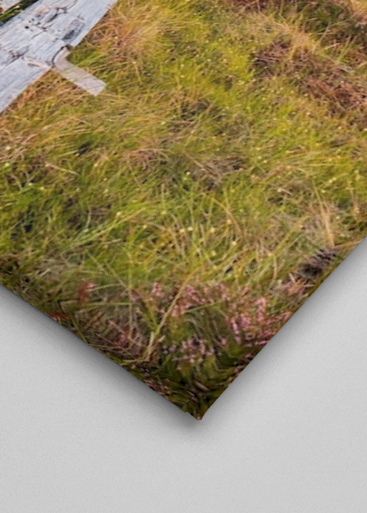 Wandern über den Sumpf