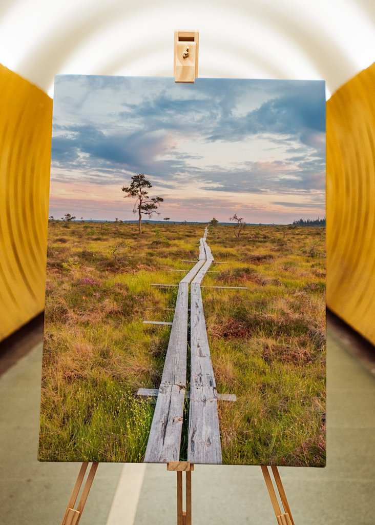 Wandern über den Sumpf