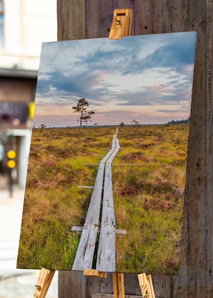 Wandern über den Sumpf