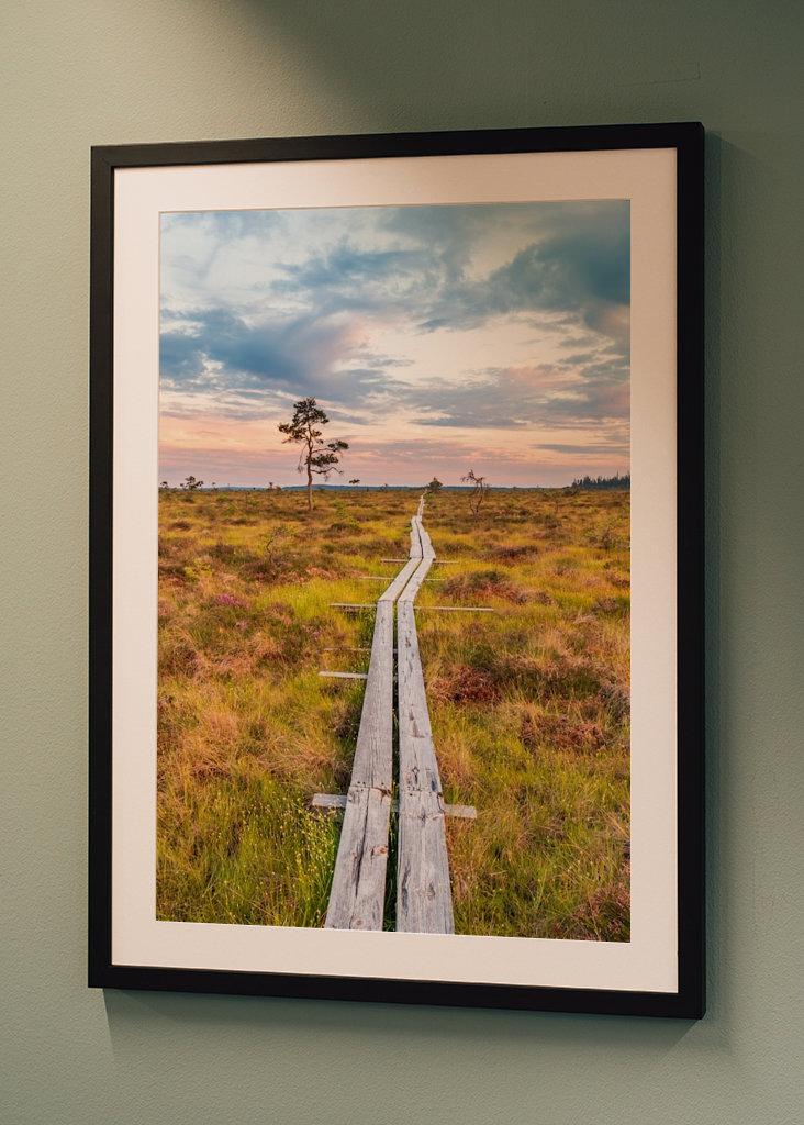 Wandern über den Sumpf
