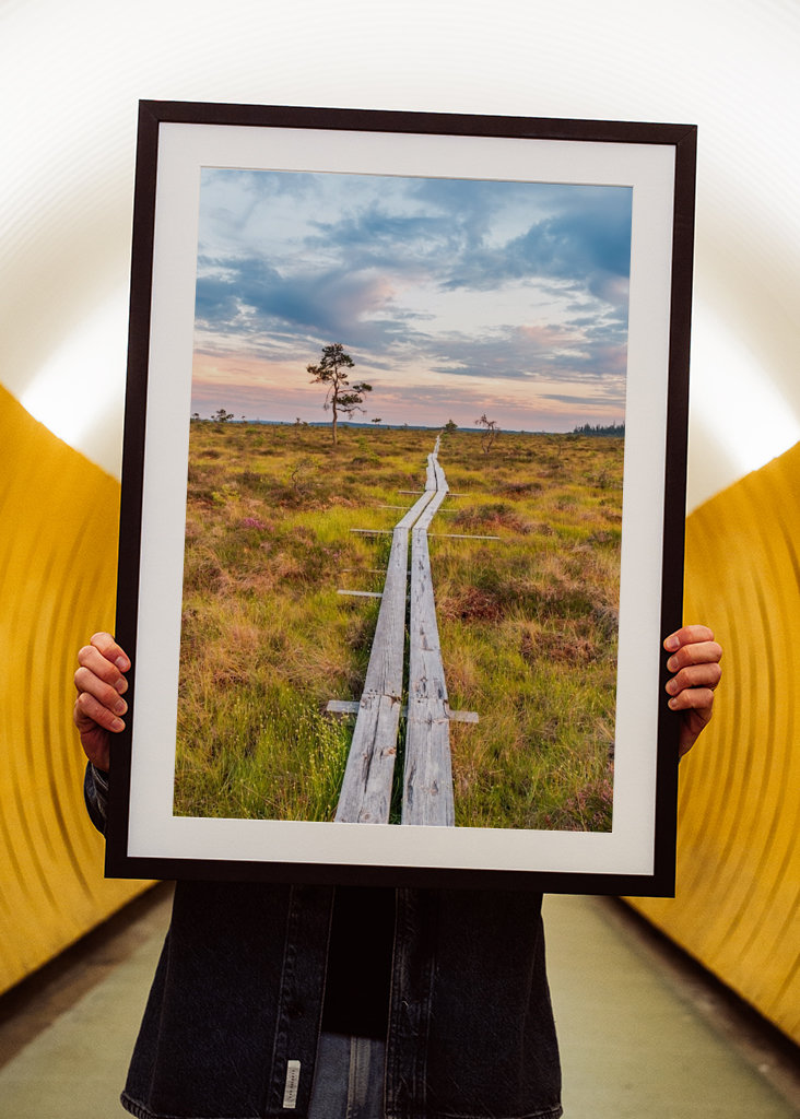 Wandern über den Sumpf