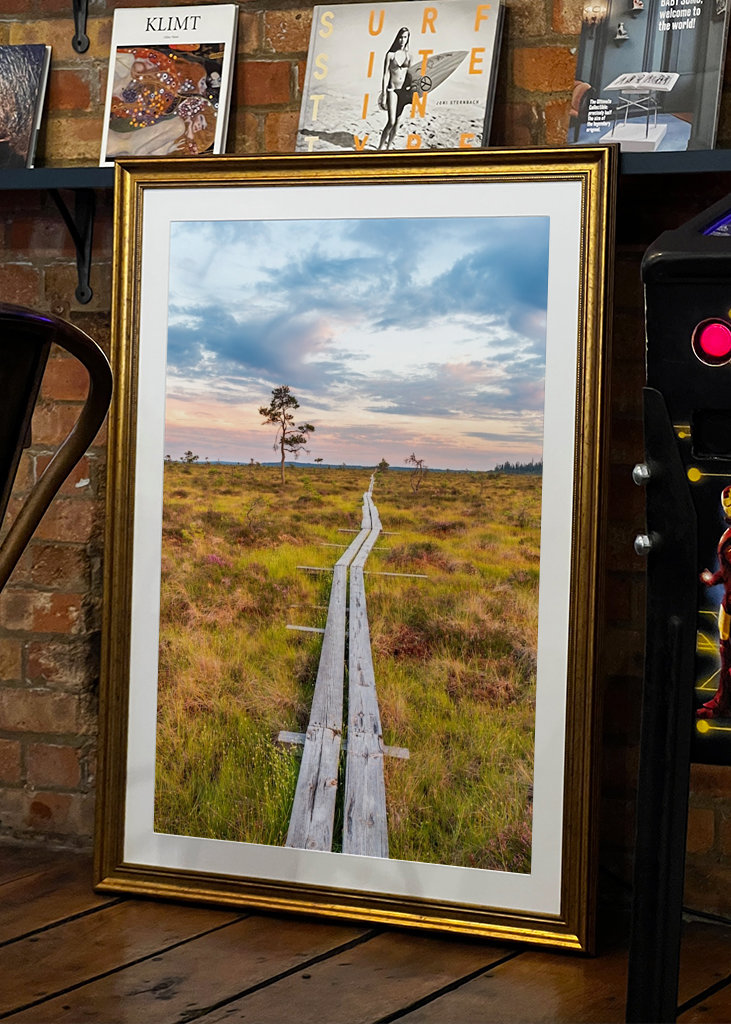 Wandern über den Sumpf