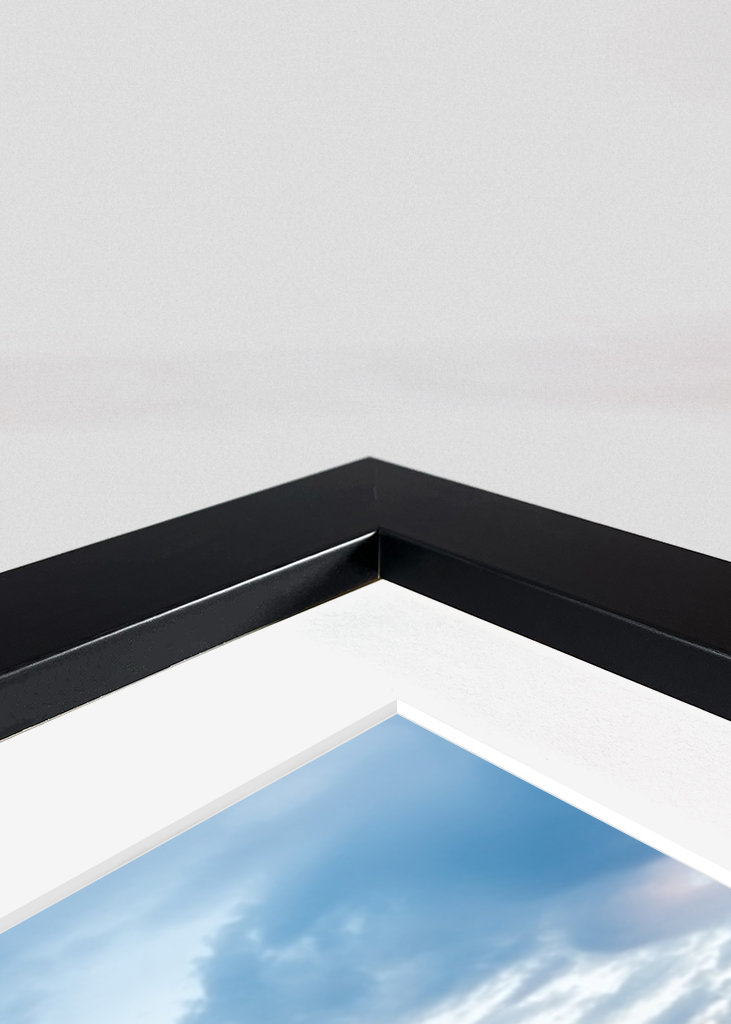 Wandern über den Sumpf