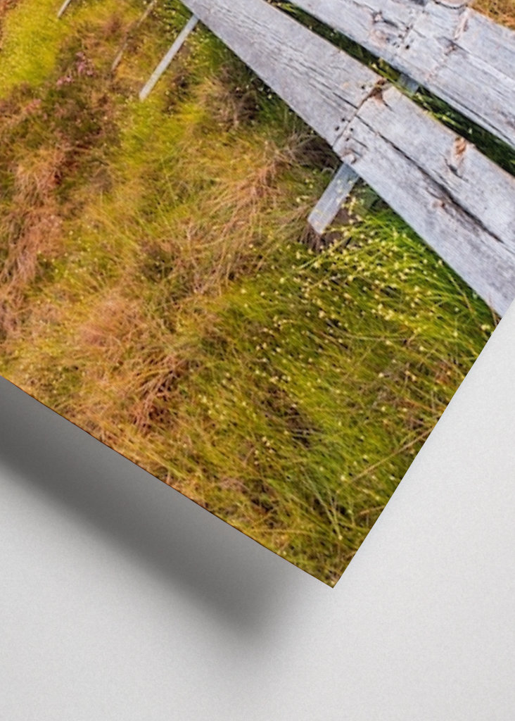 Wandern über den Sumpf