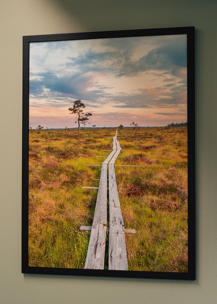 Wandern über den Sumpf