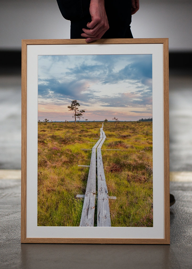 Wandern über den Sumpf