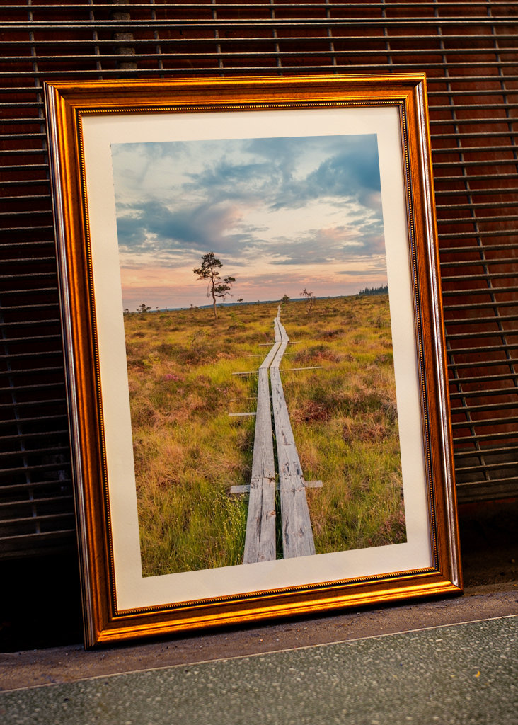 Wandern über den Sumpf