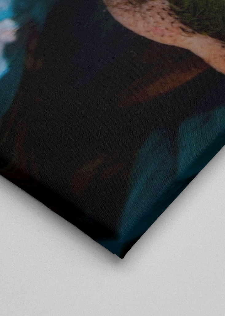 Guacamaya Kolumbianisch