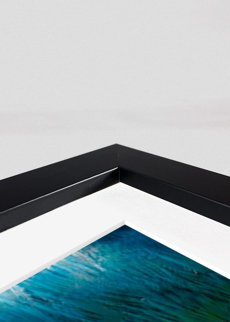 Guacamaya Kolumbianisch