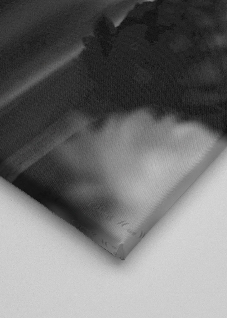  SM - SUŠENÉ KVĚTINY 06 PB