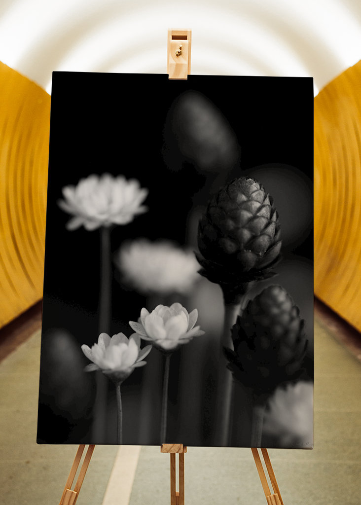  SM - SUŠENÉ KVĚTINY 06 PB