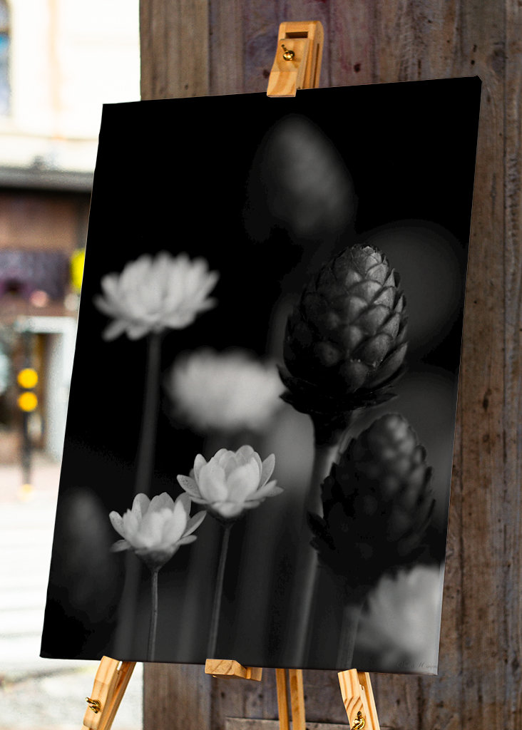  SM - SUŠENÉ KVĚTINY 06 PB