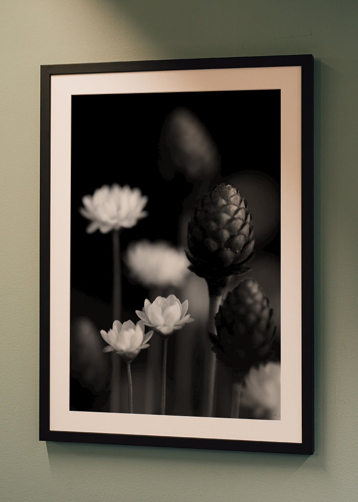  SM - SUŠENÉ KVĚTINY 06 PB