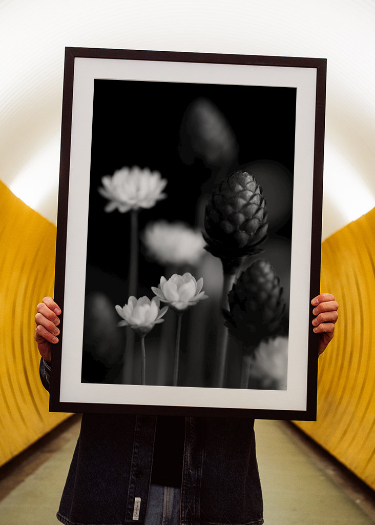  SM - SUŠENÉ KVĚTINY 06 PB