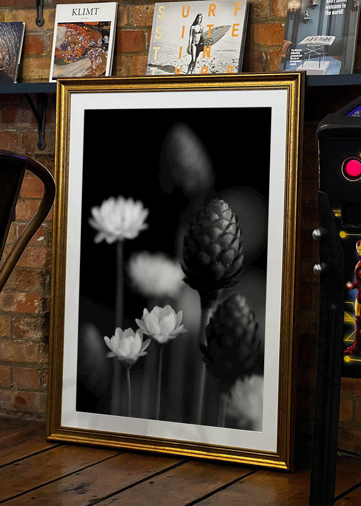  SM - SUŠENÉ KVĚTINY 06 PB