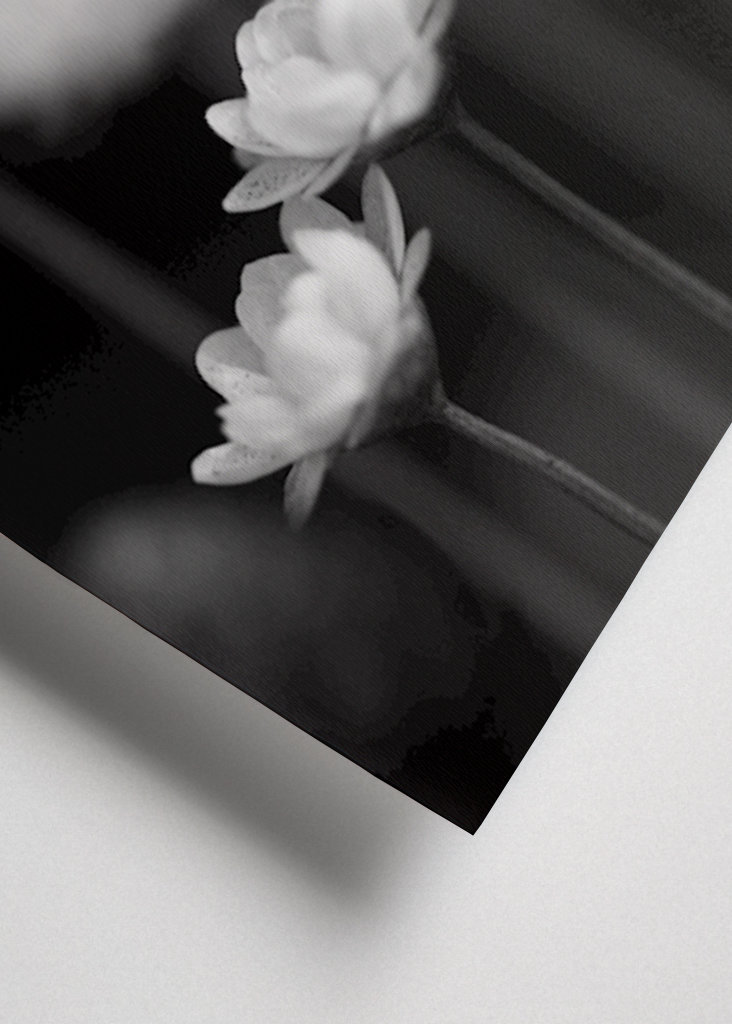  SM - SUŠENÉ KVĚTINY 06 PB